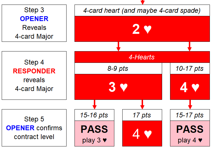 1 NT Stayman 2H  S step 5