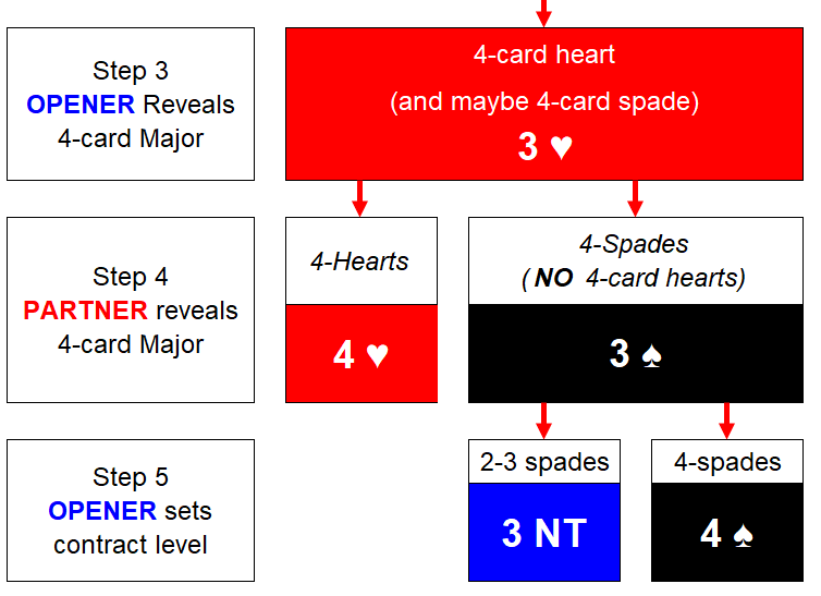 FC 2 NT Stay Step 4