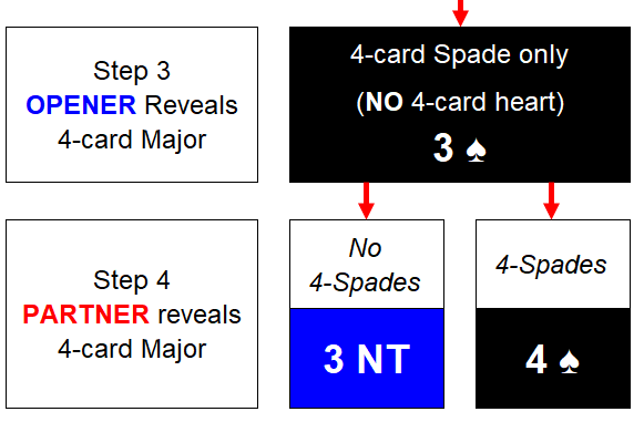 FC 2 NT Stay Step 4